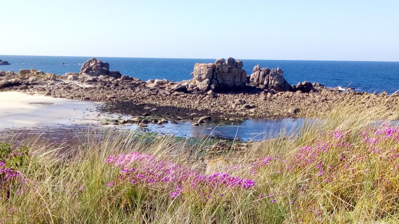 Вилла Tiny House Sur La Cote Bretonne Cleder Экстерьер фото